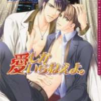  ����� Ai Shika Iranee yo <small>Story</small> 